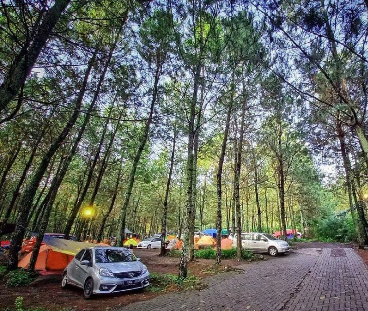 Taman Pinus Campervan Park: Lokasi, Fasilitas, dan Tips Liburan